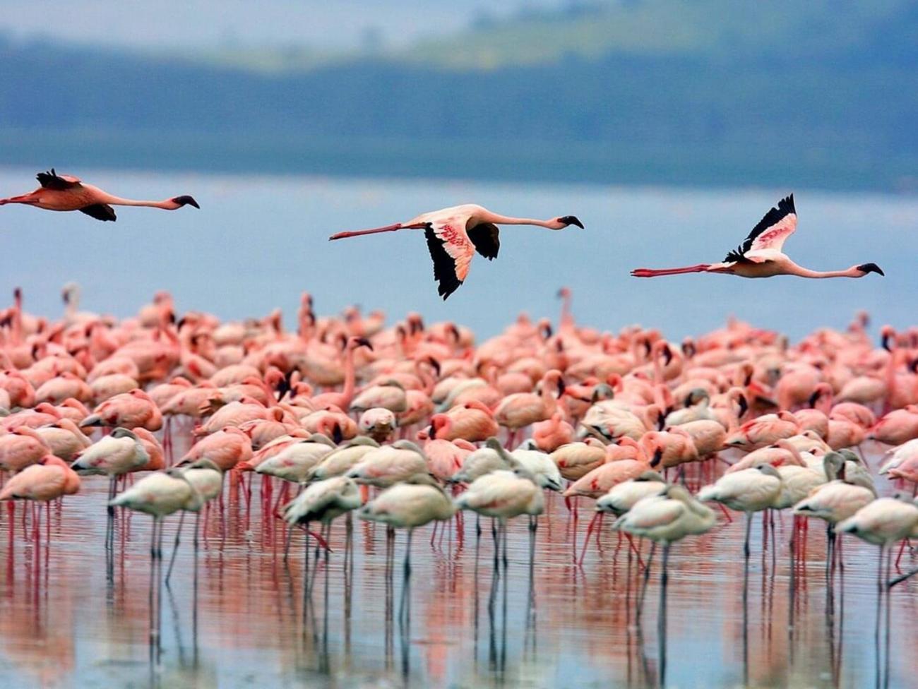 Casa Natura Levante Beach Santa Pola Ngoại thất bức ảnh